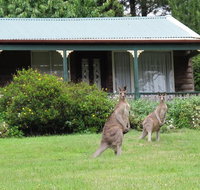 Cedar Lodge Cabins - Hotel NSW
