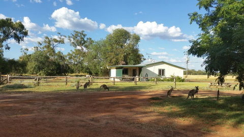 Charleville Bush Cottage - Hotel NSW 1