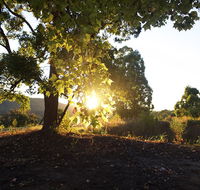 Clarendon Forest Retreat - Hotel NSW