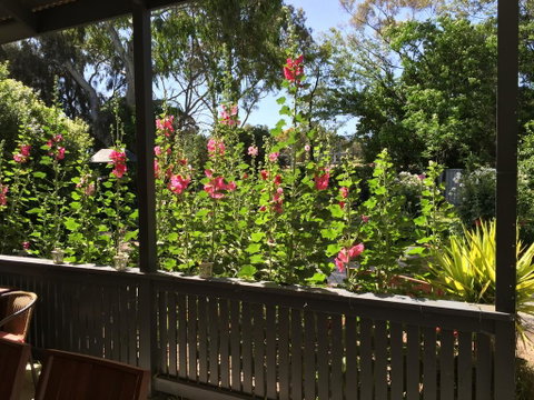 Clarevale Cottage B&B - Hotel NSW 1
