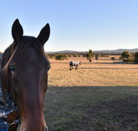 Clydesdale Cottage on Talga with real Clydesdale Horses - Hotel NSW