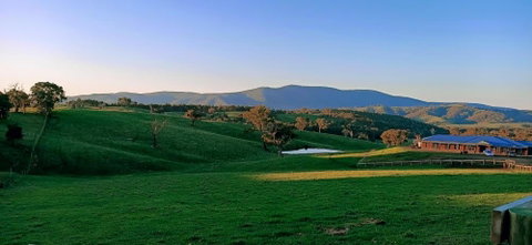 Country Budget - Hotel NSW 1