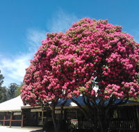 Crossways Country Inn - Hotel NSW