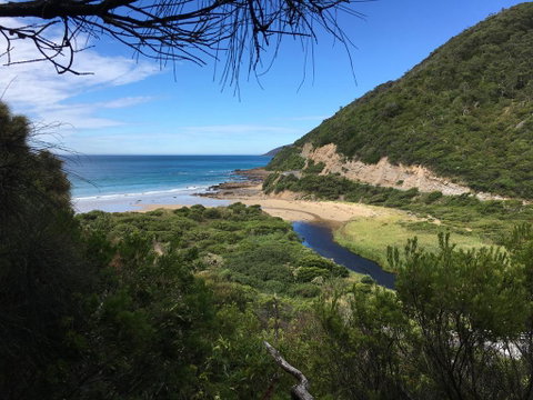 Cumberland River Holiday Park - Hotel NSW 3