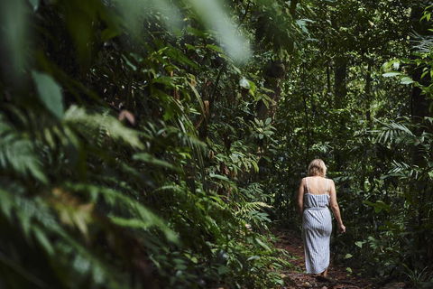 Daintree Ecolodge - Hotel NSW 2