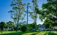 Book Dorrigo Accommodation Vacations Hotel NSW Hotel NSW