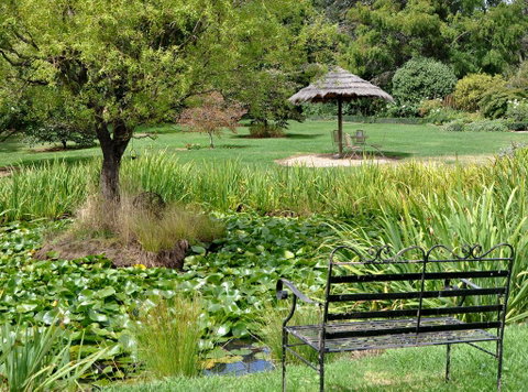 Drayshed Cottage - Hotel NSW 2