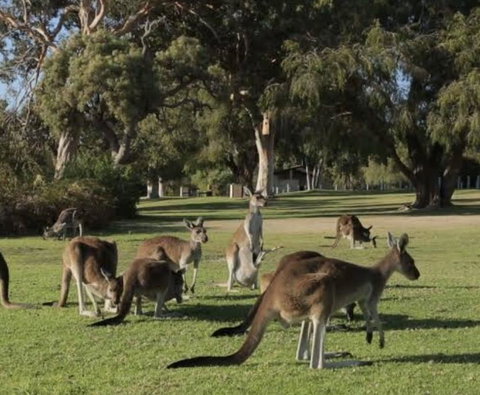 Eastern Hill Creswick - Hotel NSW 1