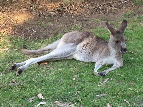 Eden Golf View Motel - Hotel NSW 2