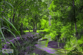 Book Esk Accommodation Hotel NSW Hotel NSW