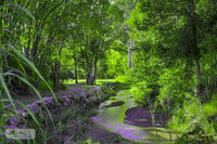 Book Esk Accommodation Vacations Hotel NSW Hotel NSW