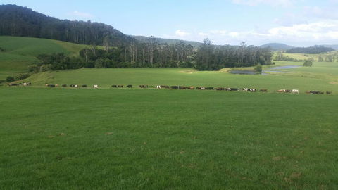 Farm Golf - Hotel NSW 2