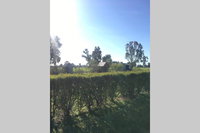 Book Benalla Accommodation Vacations Hotel NSW Hotel NSW