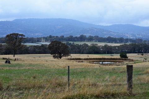Friends In Harcourt North - Hotel NSW 2