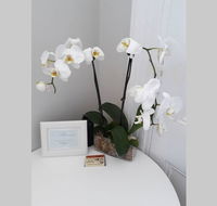 Gawler Heritage Accommodation - Hotel NSW