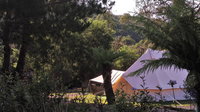 Book Zeehan Accommodation Vacations Hotel NSW Hotel NSW