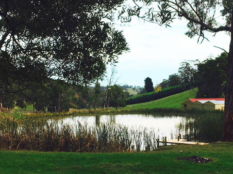 Gracefield Estate - Hotel NSW 0