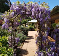 Gumtree House Montville - Hotel NSW