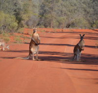 Gundabooka National Park Cottages - Hotel NSW