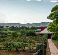 Hanging Tree Wines - Hotel NSW