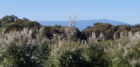 Hideaway Valley Farm - Hotel NSW 1