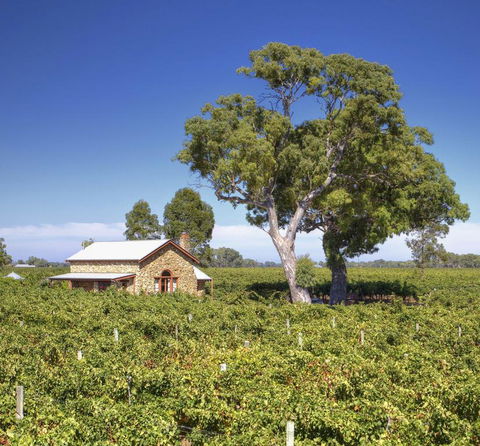 Highbank Country Accommodation - Hotel NSW 3