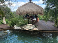 Book Maudsland Accommodation Vacations Hotel NSW Hotel NSW