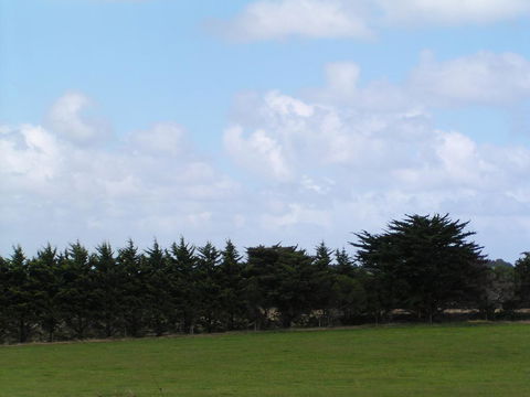Karingal Homestead B&B - Hotel NSW 0