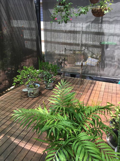 Kats BnB - Hotel NSW 1