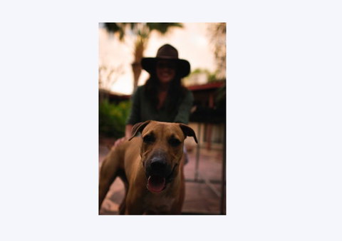 Kimberley Croc Motel - Hotel NSW 1