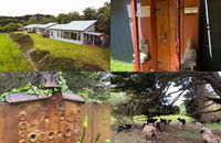 Book Kongwak Accommodation Vacations Hotel NSW Hotel NSW