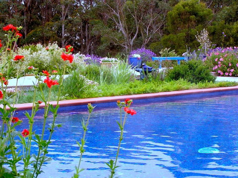 Lemonade Creek Cottages - Hotel NSW 0