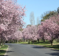 Leo's Rest Bathurst NSW - Hotel NSW