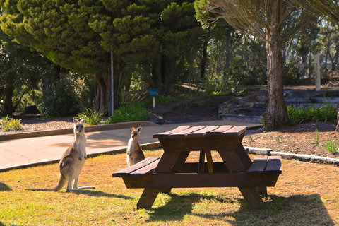 Leura Lodge At Mt Victoria - Hotel NSW 2