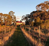 Lillicur Vineyard BB - Hotel NSW