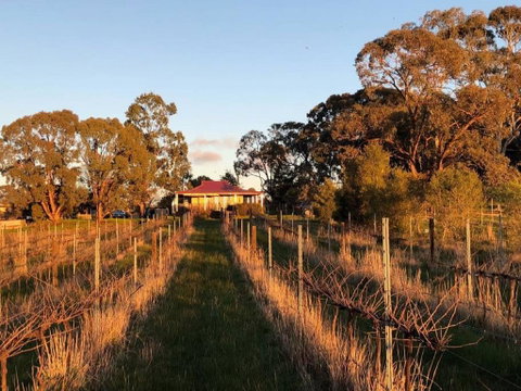 Lillicur Vineyard B&B - Hotel NSW 0