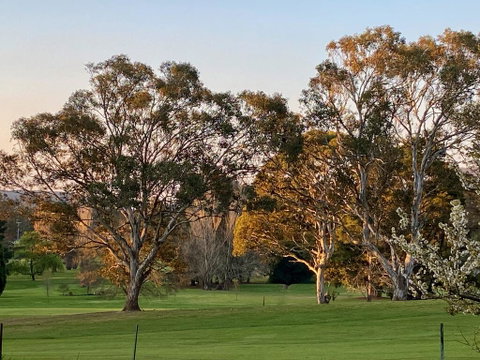 Links House - Hotel NSW 2