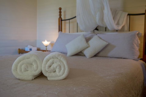 Maddies Of Bolwarra - Hotel NSW 2