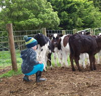 Manderley Park Farmstay BB - Hotel NSW