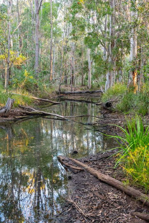 Mango Lodge At River Heads - Hotel NSW 3