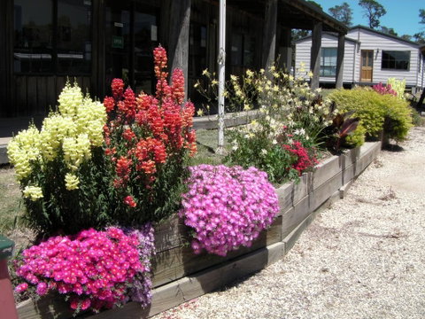 Mansfield Holiday Park - Hotel NSW 3
