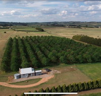 Millthorpe Truffles - Gorgeous getaway for 2 - Hotel NSW