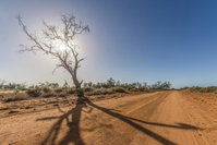 Book Mungo Accommodation Vacations Hotel NSW Hotel NSW