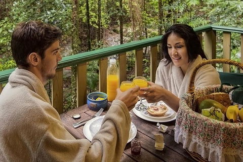 Narrows Escape Rainforest Retreat - Hotel NSW 1