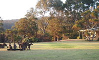 Book Walpole Accommodation Vacations Hotel NSW Hotel NSW