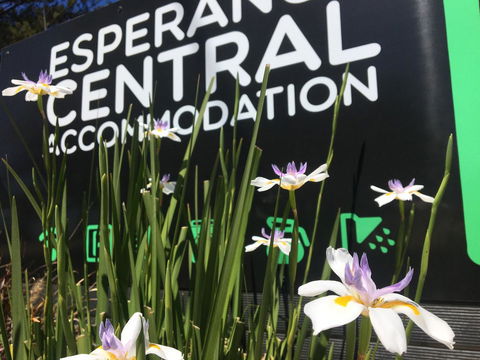 Esperance Central Accommodation - Hotel NSW 0