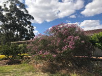 Book Cockburn Central Accommodation Vacations Hotel NSW Hotel NSW