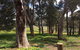 Tegwan's Nest Holiday Home - thumb 28
