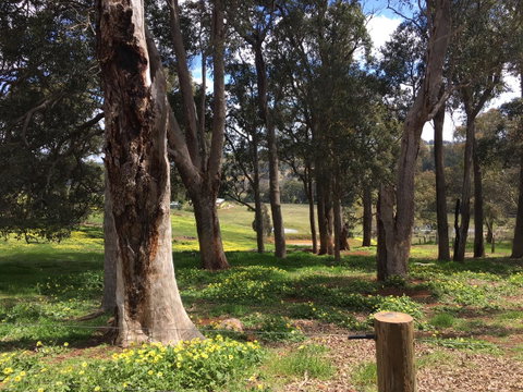 Tegwan's Nest Holiday Home - Hotel NSW 28