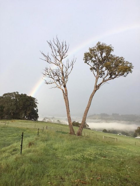 Tegwan's Nest Holiday Home - Hotel NSW 13